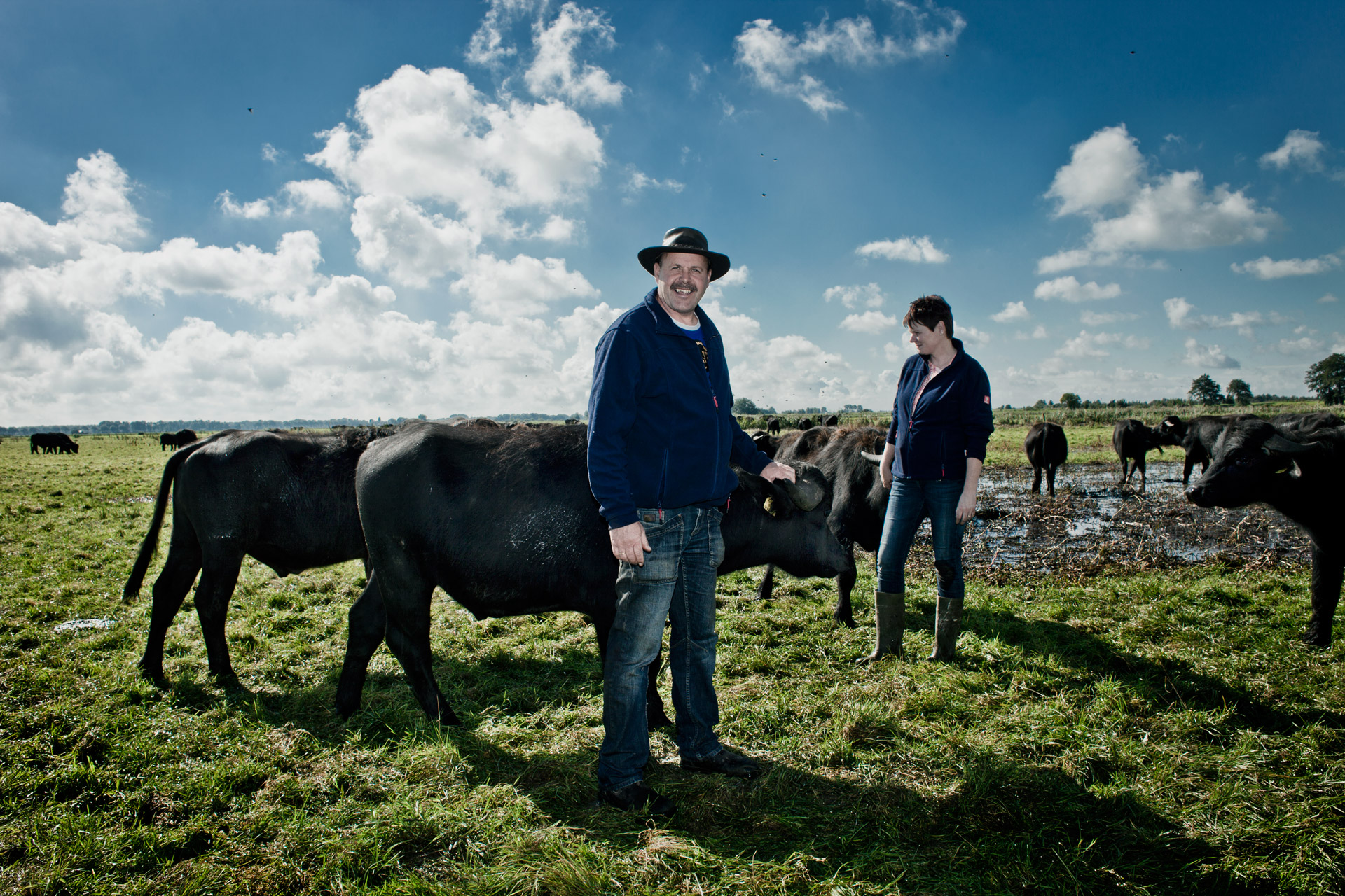 De Waterbuffelfarm — photo 3